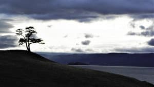 Invisible World — foto 4