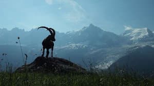 La France sauvage — foto 2