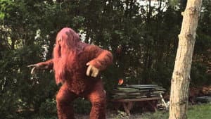 Sexsquatch: The Legend of Blood Stool Creek — foto 1