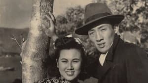 天网恢恢 — foto 1