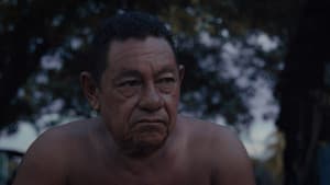 Audio y el Caimán — foto 2