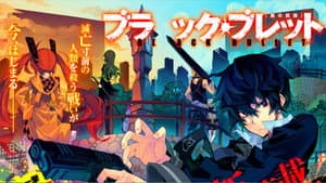 Black Bullet — foto 7