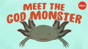 Axolotls: The Salamanders That Snack on Each Other (but Don't Die) — foto 2