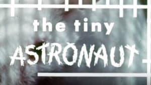 The Tiny Astronaut — foto 1