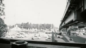 White Bird — foto 1