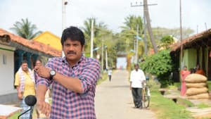 సోగ్గాడే చిన్నినాయనా — foto 5