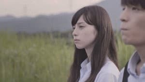 正しいバスの見分けかた — foto 2