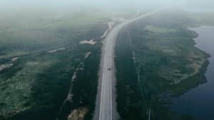 Blueberries for Iris — foto 1