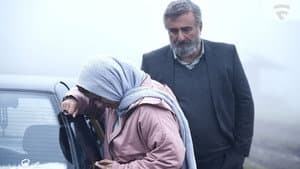 آبی روشن — foto 4
