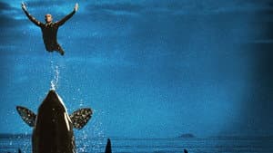 Blackfish — foto 4