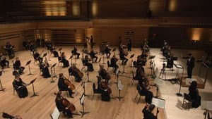 Ça grouille à l'orchestre : Génial! — foto 5