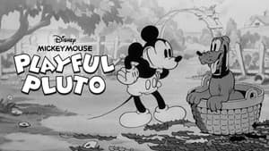 El travieso Pluto — foto 9