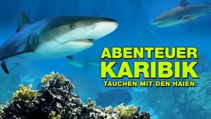 Abenteuer Karibik 3D: Tauchen Mit Den Haien — foto 2