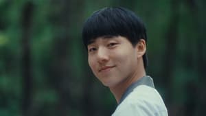 여름의 카메라 — foto 6