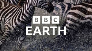 Earth — foto 5