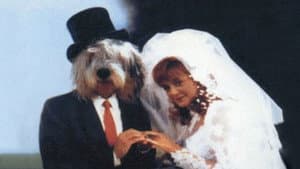 El regreso del perro humano — foto 3