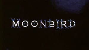 Moonbird — foto 3