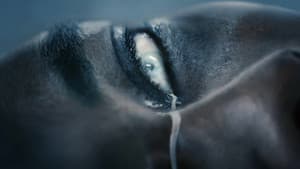 Spilled Milk — foto 1