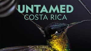 Untamed Costa Rica with Filipe DeAndrade — foto 3