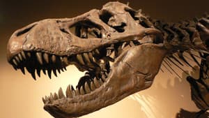 Des-Extinción — foto 1