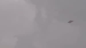 Kite — foto 3
