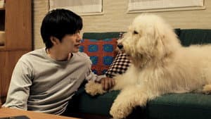 ハウ — foto 3