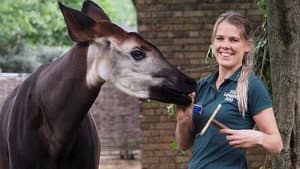 London Zoo: An Extraordinary Year — foto 1