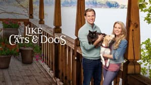 Like Cats & Dogs — foto 5