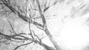 Spectral Ascension — foto 1