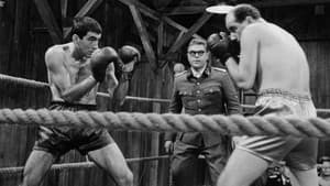 Boxer a smrť — foto 1