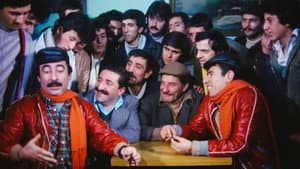 Çiçek Abbas — foto 1