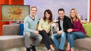 Sat.1-Frühstücksfernsehen — foto 1