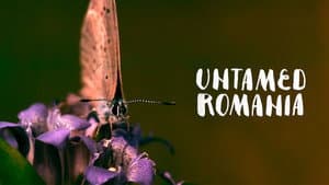 Rumania indomable — foto 7