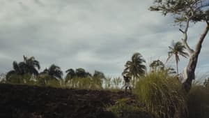 Papa Machete — foto 7