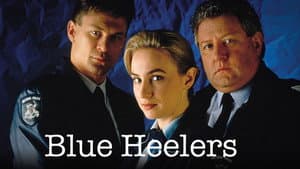 Blue Heelers — foto 2