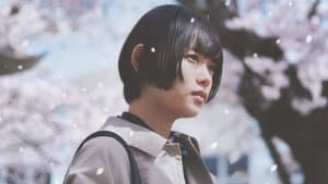 朽ちないサクラ — foto 4