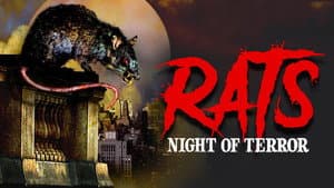 La noche de las ratas — foto 2