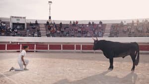 Animale — foto 5