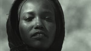 Tibesti Too — foto 1