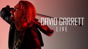 David Garrett & Band - Baths of Caracalla in Rome 2022 — foto 3