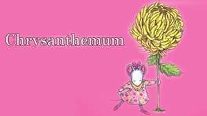 Chrysanthemum — foto 1