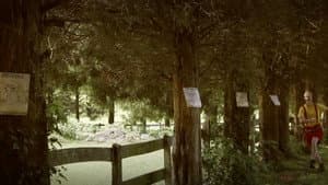 Timka — foto 2
