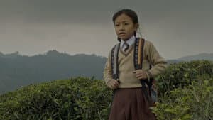 गुराँस — foto 1