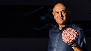 Secrets of the Brain — foto 1