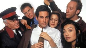 The Single Guy — foto 1