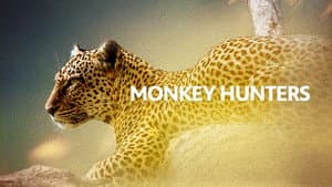 Monkey Hunters — foto 1