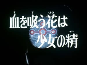 Episodio 11