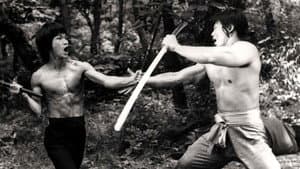 決鬥死亡塔 — foto 1