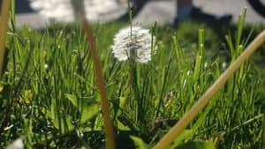 The Beauty Of Summer Like Weather — foto 1