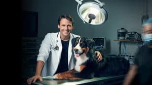 Dr Sébastien, vétérinaire — foto 1